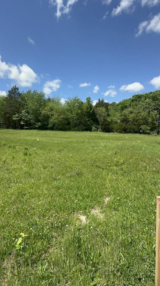 4050 Summit Dr, Greenbrier, TN 37073 - photo 2