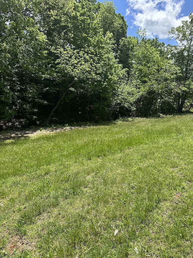 4050 Summit Dr, Greenbrier, TN 37073 - photo 3
