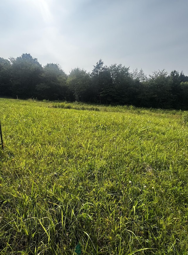4050 Summit Dr, Greenbrier, TN 37073 - photo 1