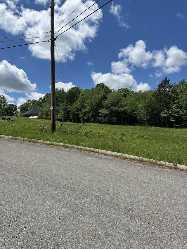 4050 Summit Dr, Greenbrier, TN 37073 - photo 5
