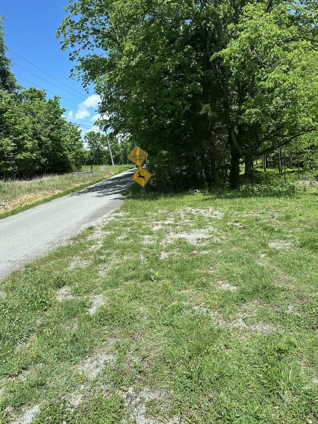 4050 Summit Dr, Greenbrier, TN 37073 - photo 4