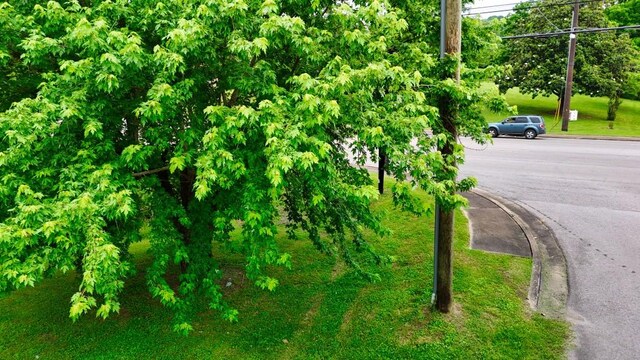 0 Mill St, Pulaski, TN 38478