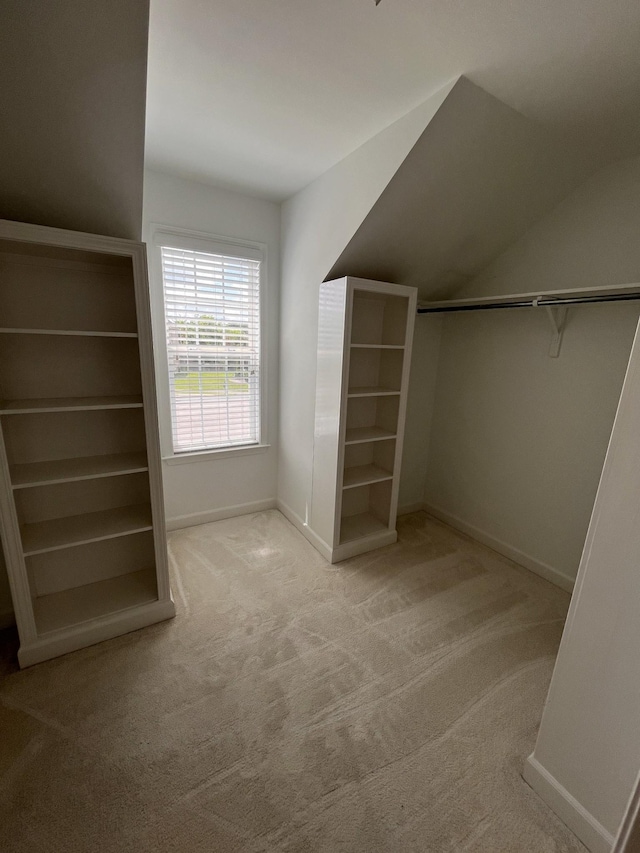 2010 Katach Ct, Spring Hill, TN 37174 - walk in closet featuring light carpet and lofted ceiling