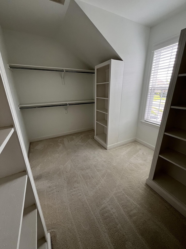 2010 Katach Ct, Spring Hill, TN 37174 - walk in closet featuring carpet flooring and vaulted ceiling