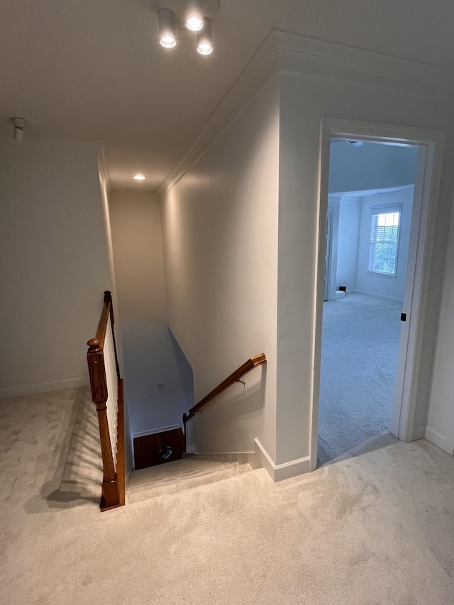 2010 Katach Ct, Spring Hill, TN 37174 - staircase featuring carpet floors and ornamental molding