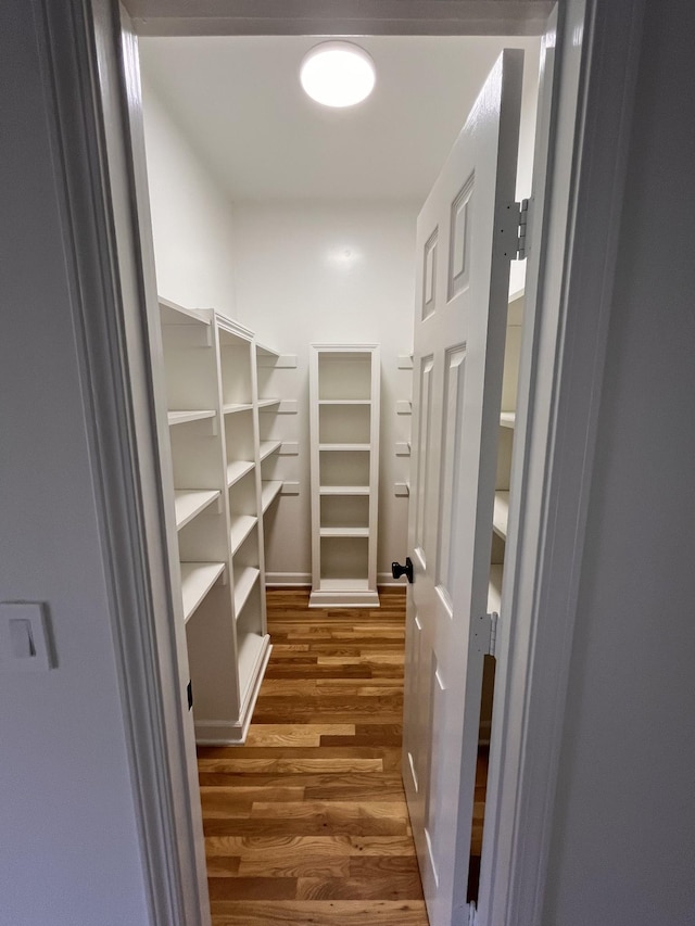 2010 Katach Ct, Spring Hill, TN 37174 - walk in closet featuring wood finished floors
