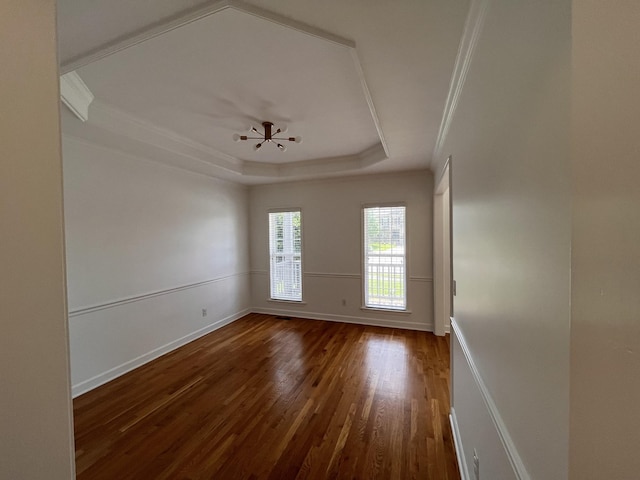2010 Katach Ct, Spring Hill, TN 37174 - unfurnished room featuring crown molding, dark wood-style flooring, and a tray ceiling