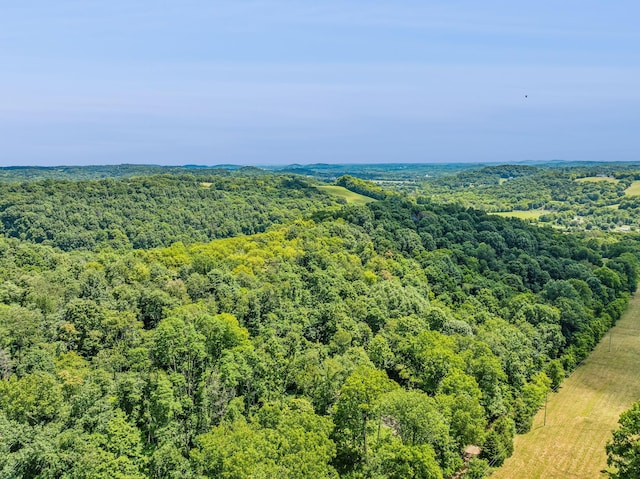 4825 Smiser Hickman Rd, Culleoka, TN 38451