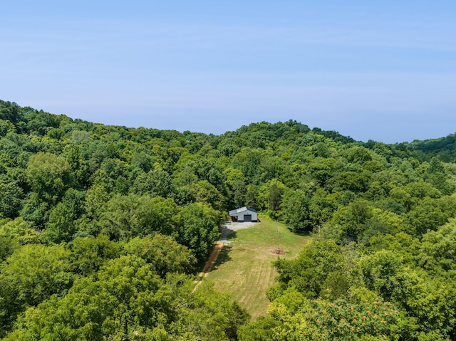 4825 Smiser Hickman Rd, Culleoka, TN 38451