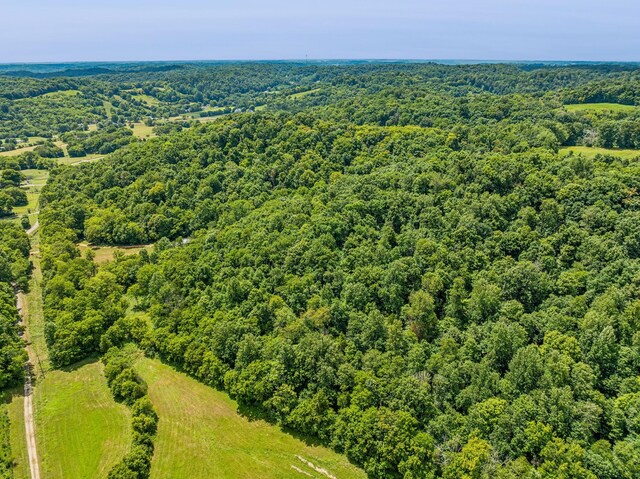 4825 Smiser Hickman Rd, Culleoka, TN 38451