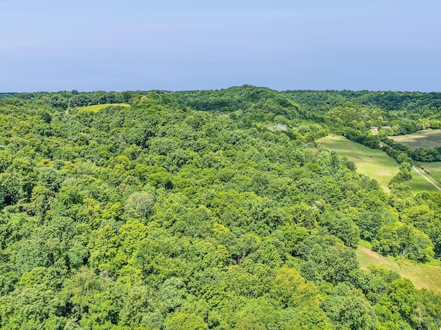 4825 Smiser Hickman Rd, Culleoka, TN 38451