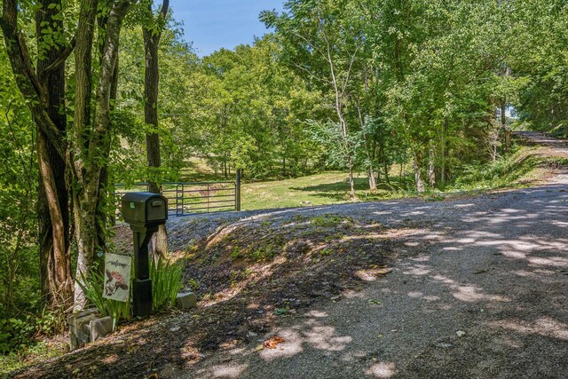 4825 Smiser Hickman Rd, Culleoka, TN 38451