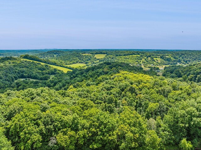 4825 Smiser Hickman Rd, Culleoka, TN 38451