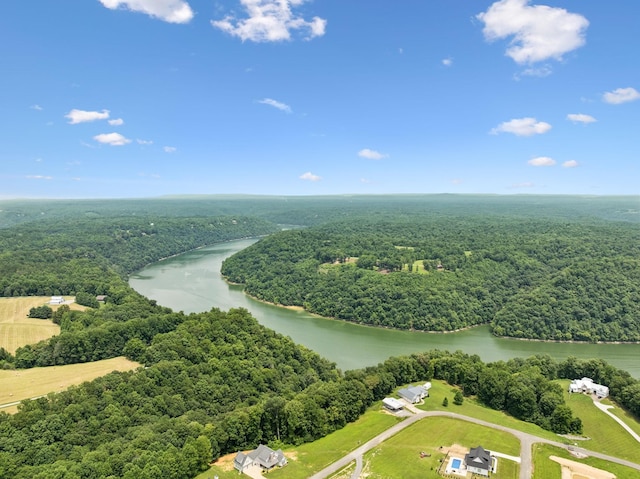 130 Cedar Ridge Ln, Smithville, TN 37166 - photo 83