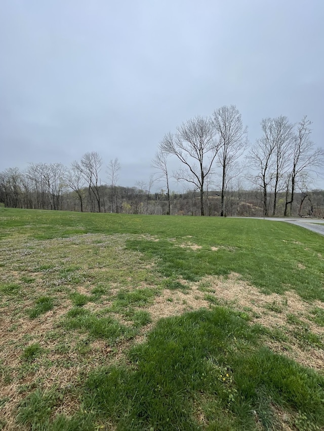 532 Douglas Ln, Lafayette, TN 37083 - view of grassy yard