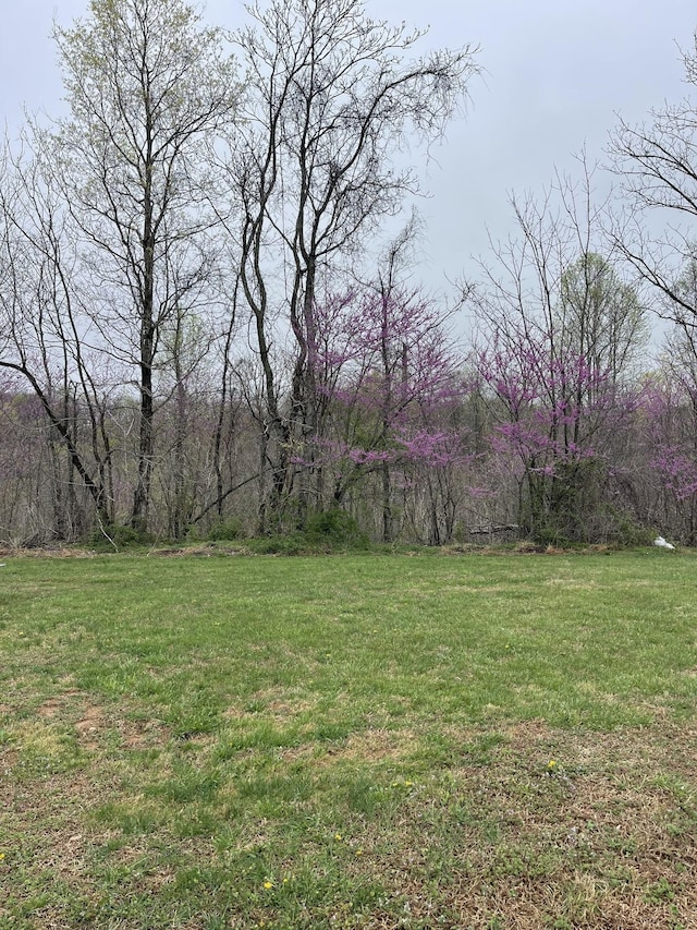 532 Douglas Ln, Lafayette, TN 37083 - view of green lawn