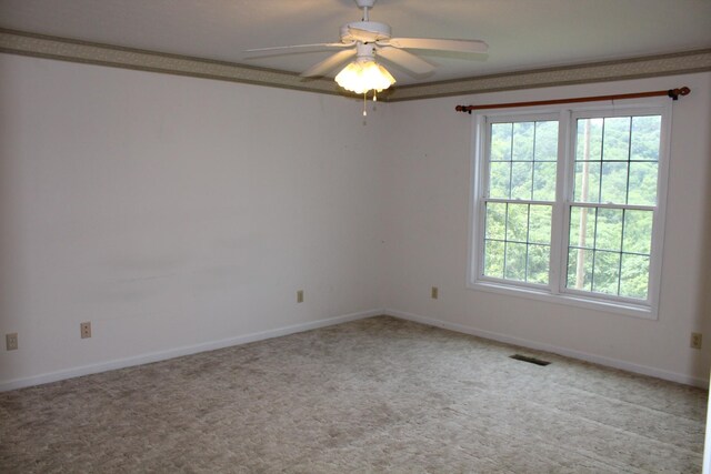 1028 Huff Hollow Rd, Granville, TN 38564 - photo 22