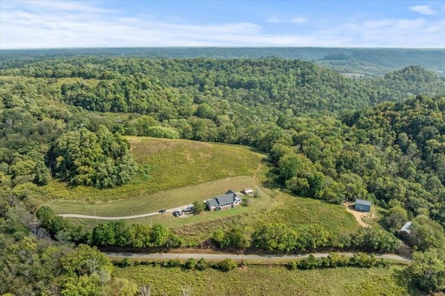 1028 Huff Hollow Rd, Granville, TN 38564 - photo 36