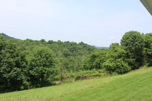 1028 Huff Hollow Rd, Granville, TN 38564 - photo 31