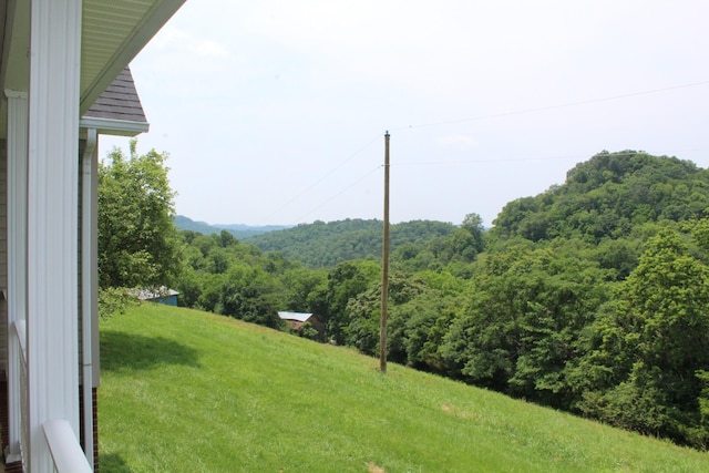 1028 Huff Hollow Rd, Granville, TN 38564 - photo 30