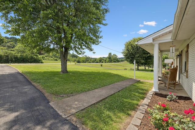 1710 New Highway 7, Columbia, TN 38401 - view of grassy yard