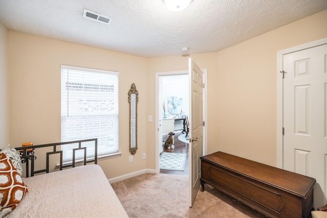 395 Devon Chase Hl Unit 3002, Gallatin, TN 37066 - bedroom with light carpet and a textured ceiling