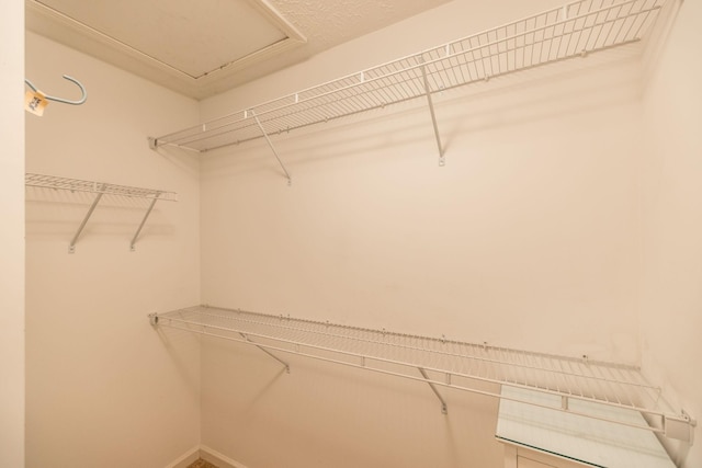 395 Devon Chase Hl Unit 3002, Gallatin, TN 37066 - view of walk in closet