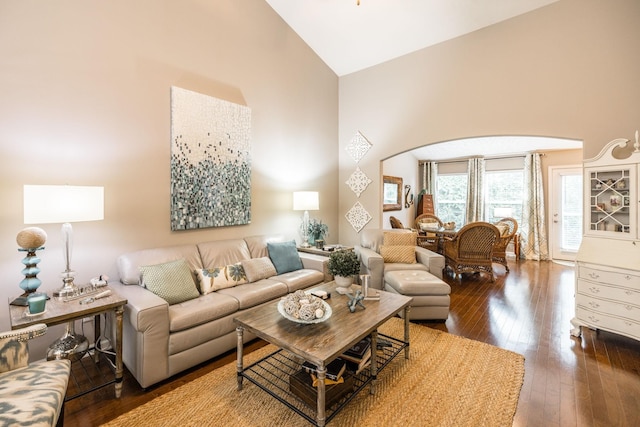 395 Devon Chase Hl Unit 3002, Gallatin, TN 37066 - living room featuring high vaulted ceiling and hardwood / wood-style flooring