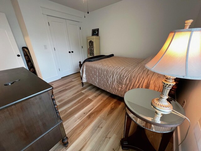 543 2nd Ave N, Lewisburg, TN 37091 - bedroom with light wood-type flooring and a closet
