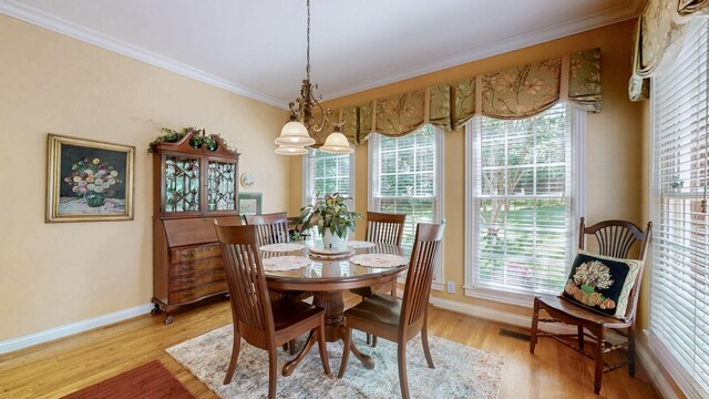 1145 Cleveland Hall Blvd, Old Hickory, TN 37138 - photo 14