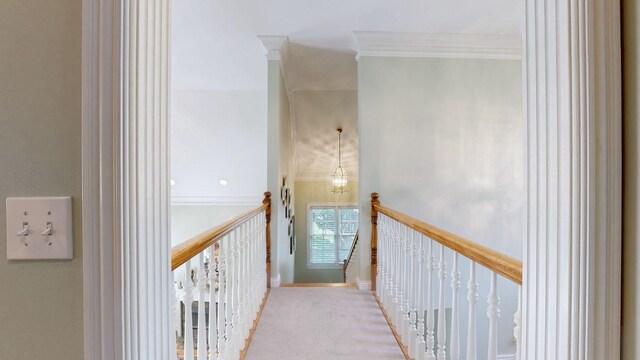1145 Cleveland Hall Blvd, Old Hickory, TN 37138 - photo 40