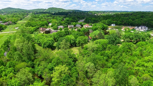 9729 Concord Rd, Brentwood, TN 37027 - photo 4