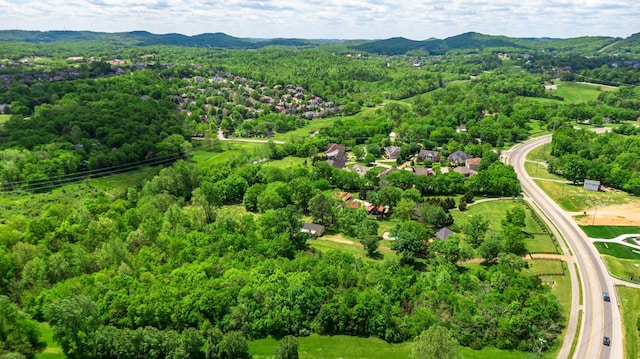 9729 Concord Rd, Brentwood, TN 37027 - photo 3