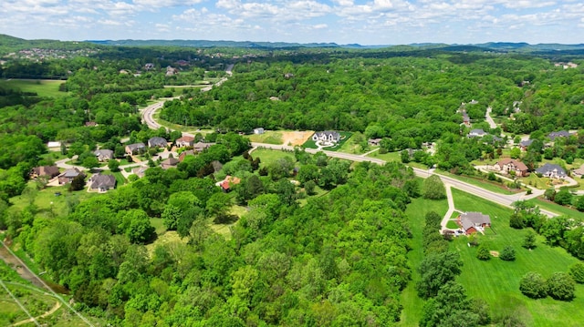 9729 Concord Rd, Brentwood, TN 37027 - photo 8
