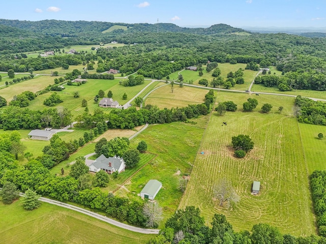 1387 Floyd Rd, Eagleville, TN 37060 - overview of rural landscape