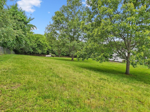 1387 Floyd Rd, Eagleville, TN 37060 - view of green lawn