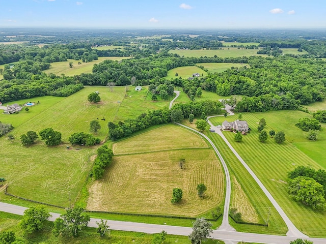 1387 Floyd Rd, Eagleville, TN 37060 - aerial view of sparsely populated area