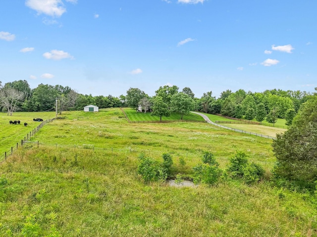 1387 Floyd Rd, Eagleville, TN 37060 - view of yard with a view of countryside