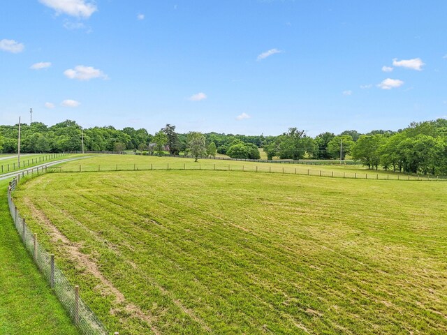 1387 Floyd Rd, Eagleville, TN 37060 - view of yard with a view of rural / pastoral area