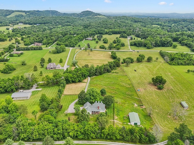 1387 Floyd Rd, Eagleville, TN 37060 - overview of rural landscape