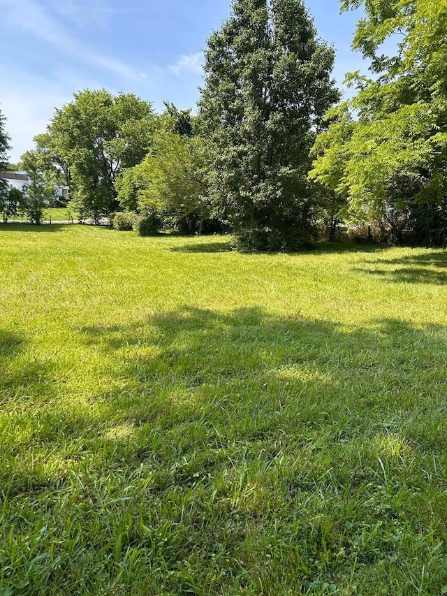 403 Gaines St, Sparta, TN 38583 - photo 41