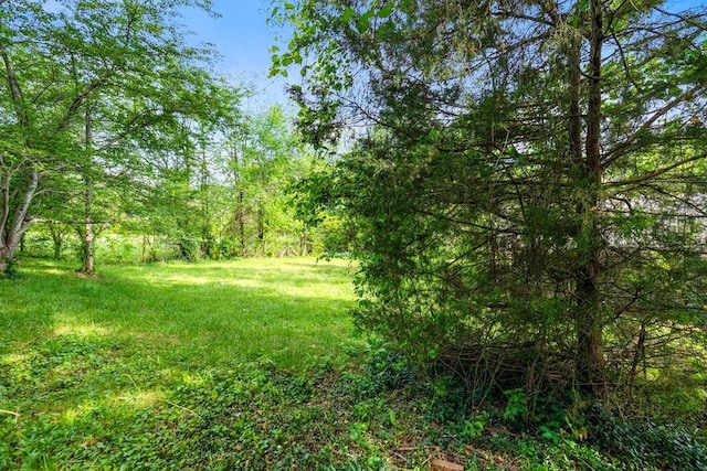 403 Gaines St, Sparta, TN 38583 - photo 40