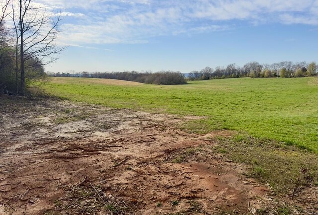 0 Maple Springs Rd, Dayton, TN 37321 - photo 3
