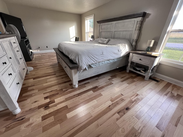 11 Jess Long Ln, Hillsboro, TN 37342 - bedroom with light wood-style flooring