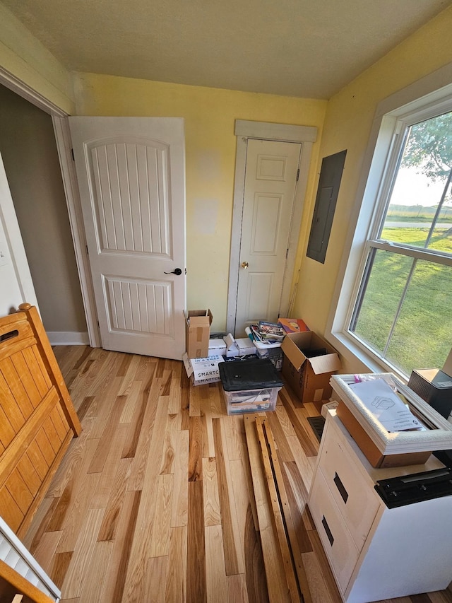 11 Jess Long Ln, Hillsboro, TN 37342 - bedroom with electric panel and light wood-style flooring