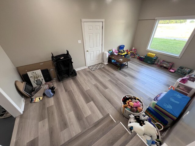 11 Jess Long Ln, Hillsboro, TN 37342 - rec room featuring wood finished floors