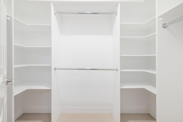 6826 Falls Ridge Ln, College Grove, TN 37046 - view of walk in closet