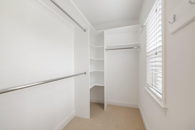6826 Falls Ridge Ln, College Grove, TN 37046 - spacious closet featuring carpet flooring