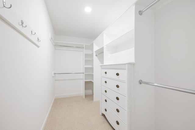 6826 Falls Ridge Ln, College Grove, TN 37046 - walk in closet with light carpet