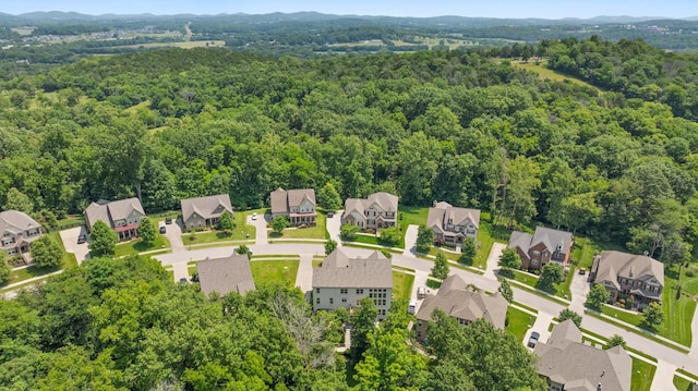 6826 Falls Ridge Ln, College Grove, TN 37046 - aerial perspective of suburban area with a forest and mountains